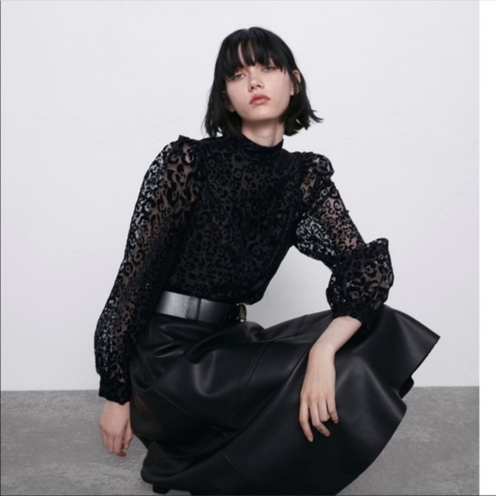 Zara NWT organza blouse - Picture 6 of 10
